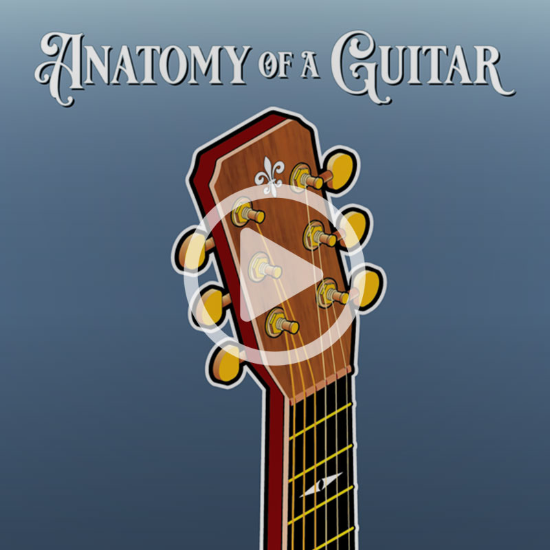 Anatomy of a Guitar © Jack Suter. All rights reserved.