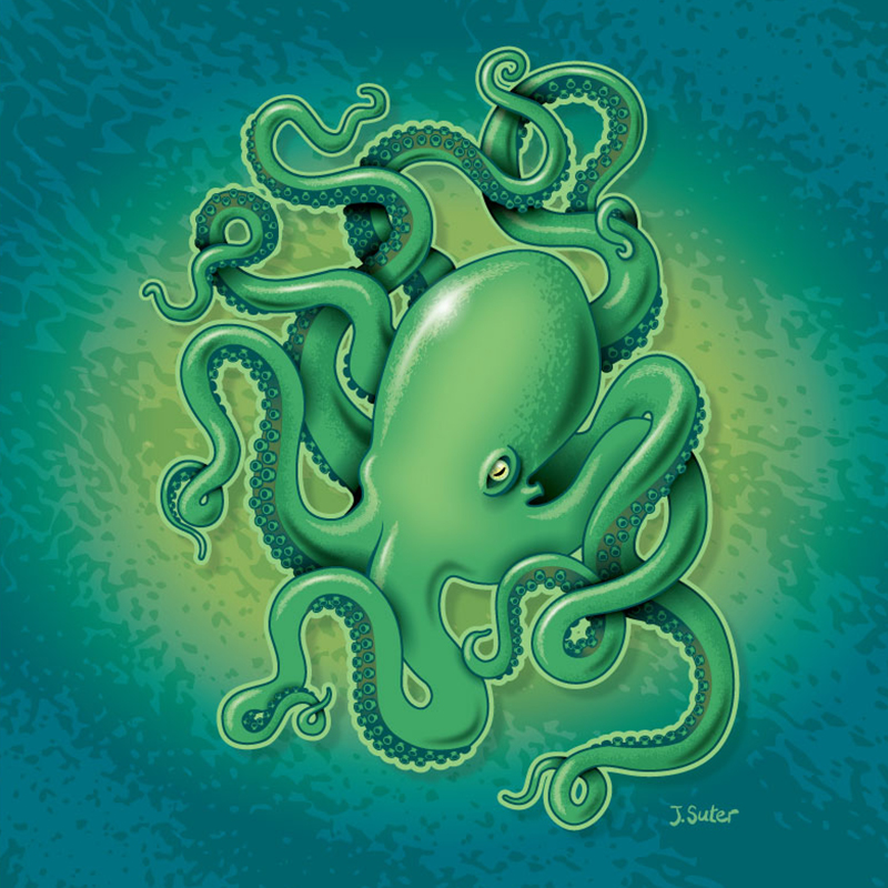 Octopus Illustration © Jack Suter. All rights reserved.