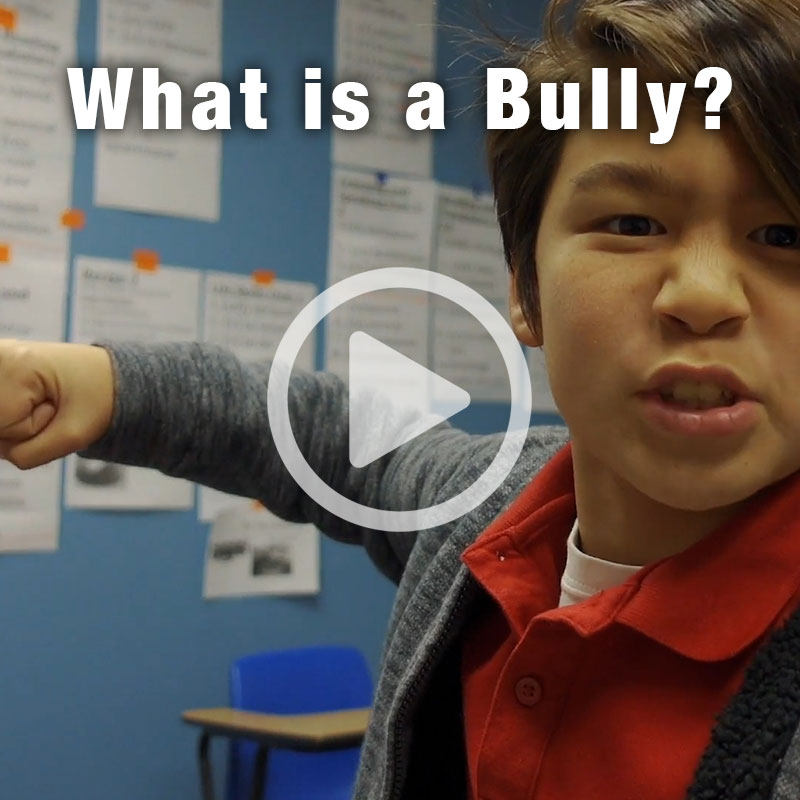 What is a Bully? © Jack Suter. All rights reserved.